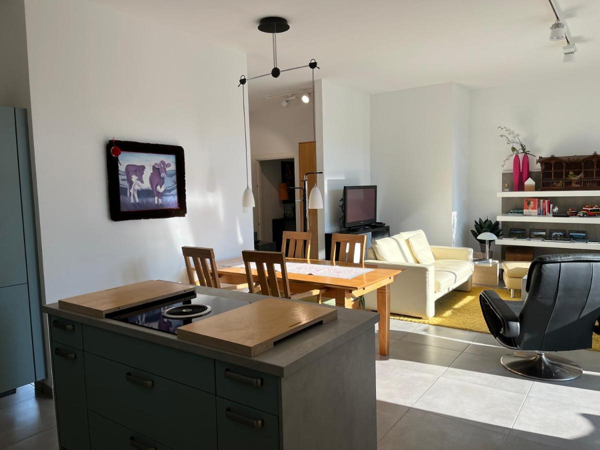 Sonnige Wohnung Im Herzen Von Buehl Kültér fotó